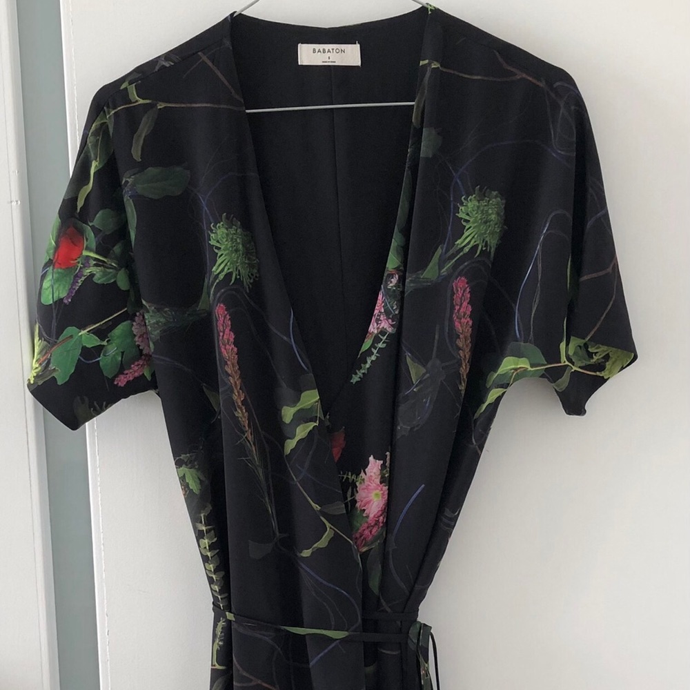 Babaton Wallace floral dress  (Aritzia)